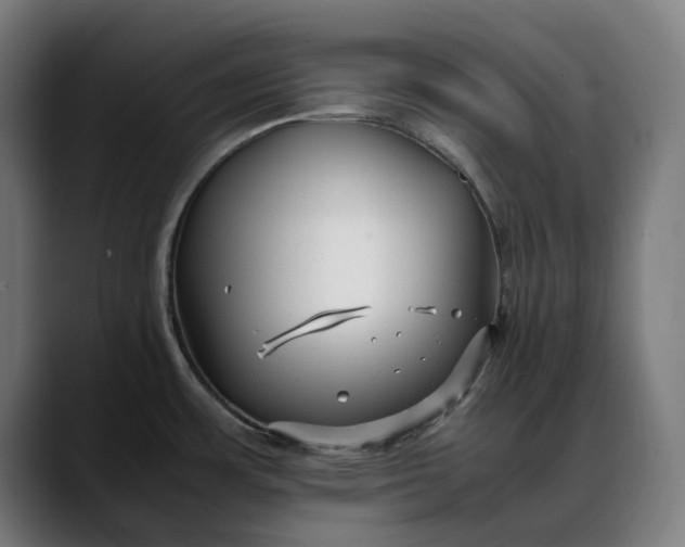 X0000088091483200705251418