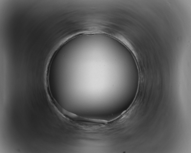 X0000088091485200705251418