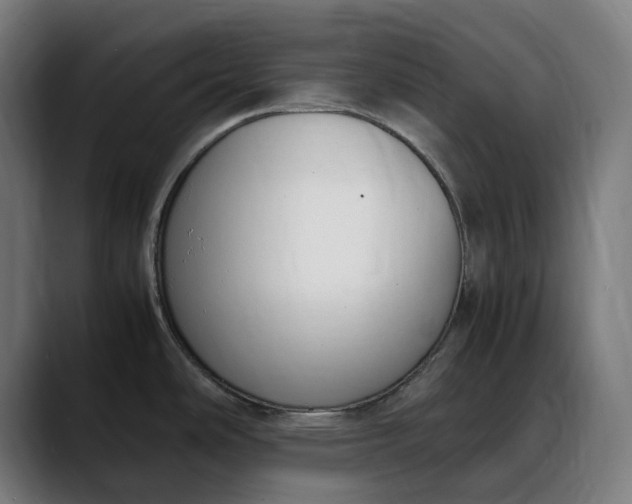 X0000088091486200705251418