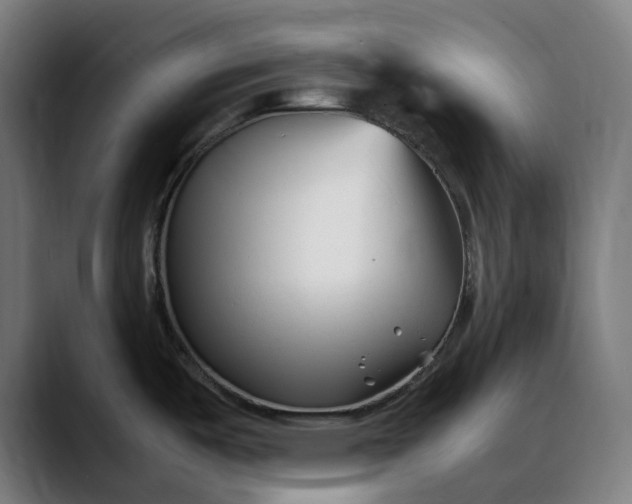 X0000088091487200705251418