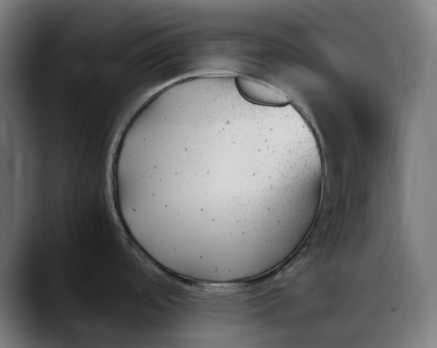 X0000088091488200705251418