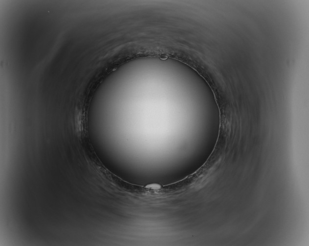 X0000088091490200705251418