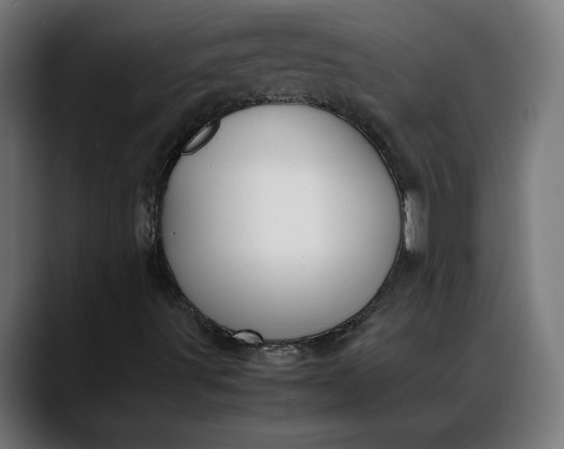 X0000088091491200705251418