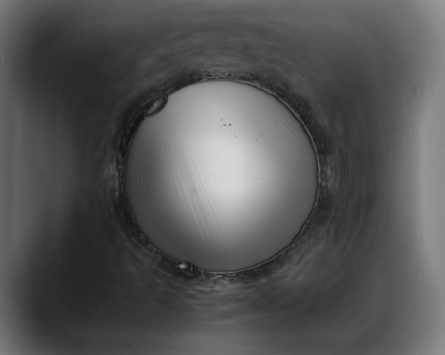 X0000088091493200705251418