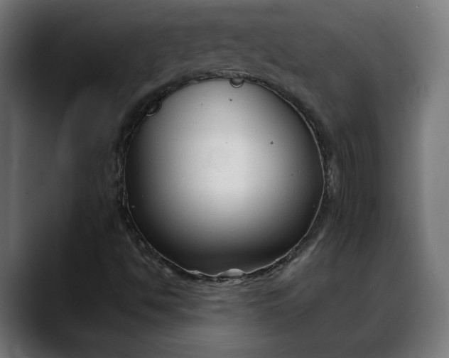 X0000088091494200705251418