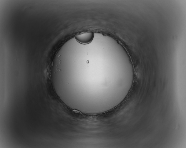 X0000088091495200705251418