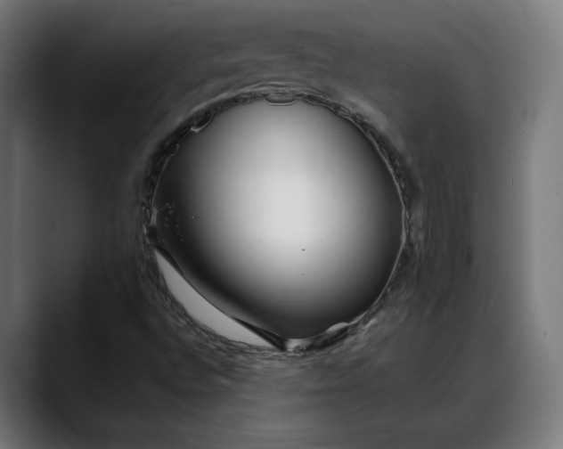 X0000088091496200705251418
