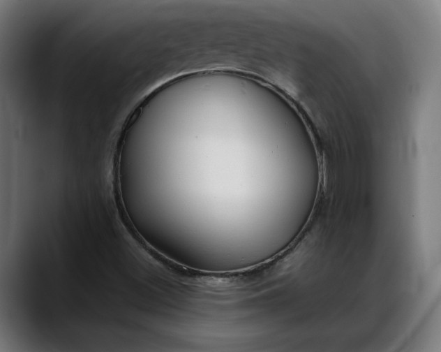 X0000088091500200705251418