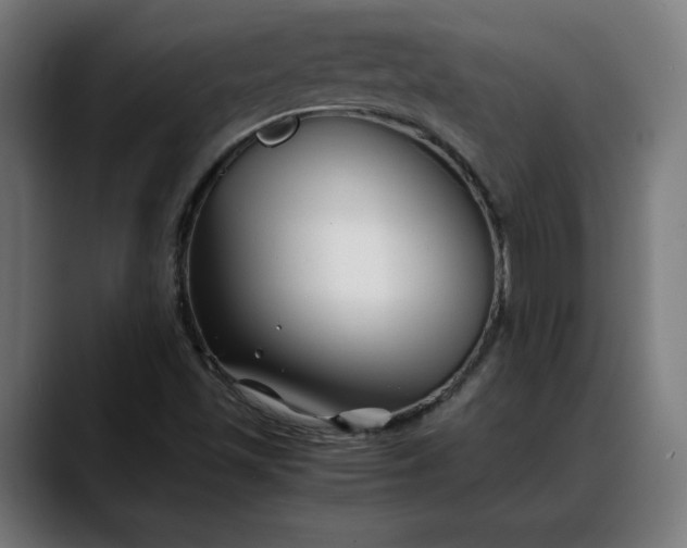 X0000088091501200705251418