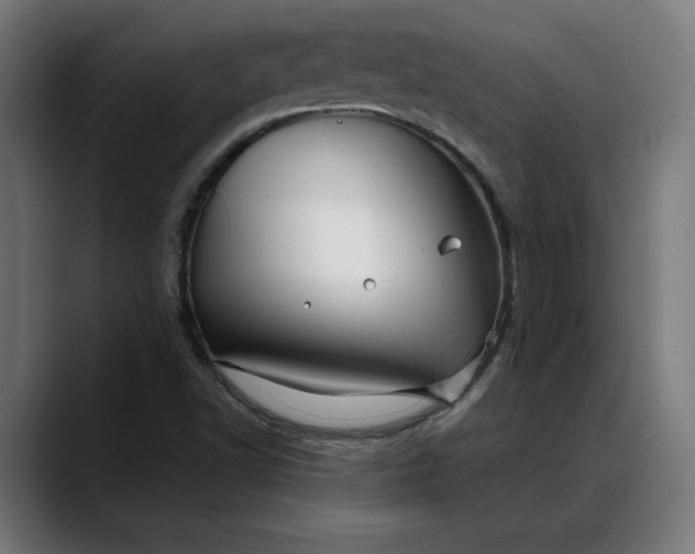 X0000088091502200705251418