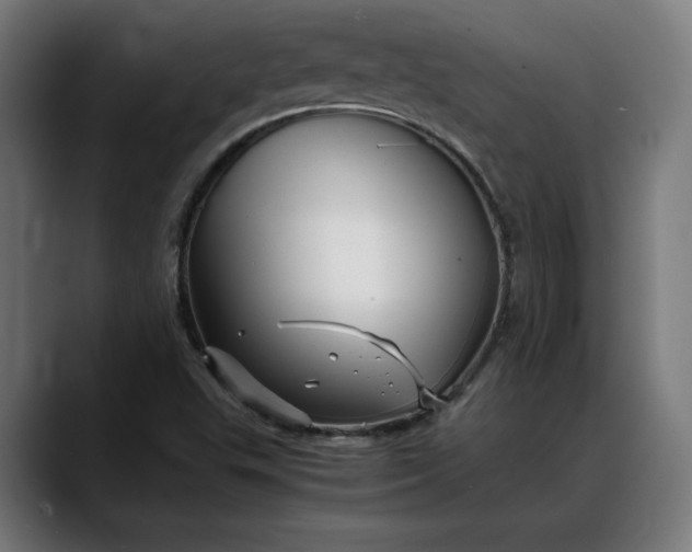 X0000088091503200705251418