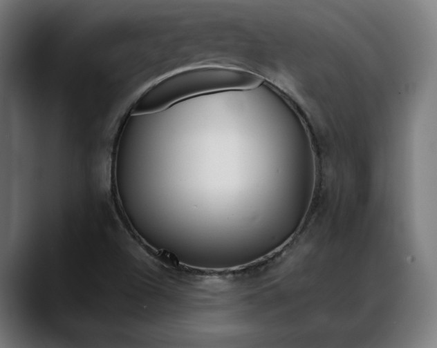 X0000088091504200705251418