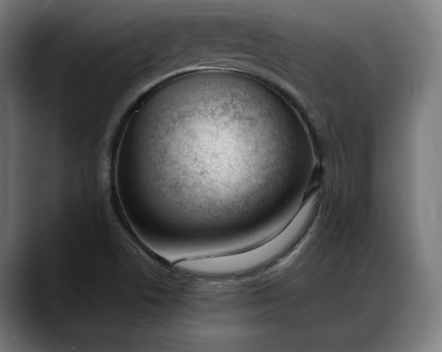 X0000088091506200705251418