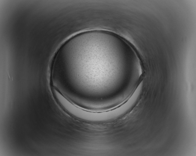 X0000088091508200705251418