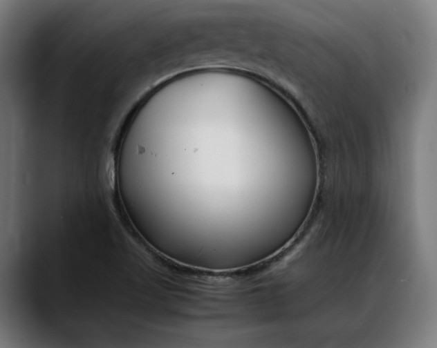 X0000088091509200705251418