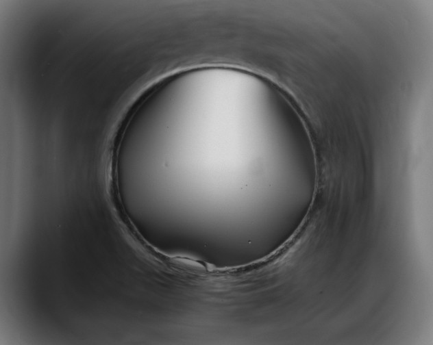 X0000088091511200705251418