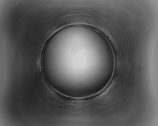 X0000088091513200705251418