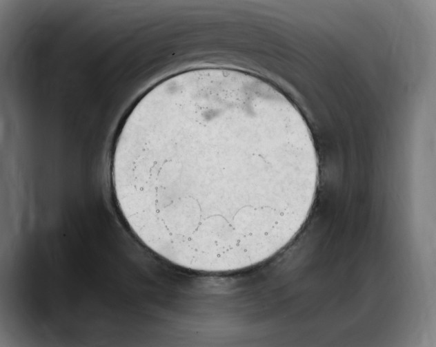 X0000088091514200705251418