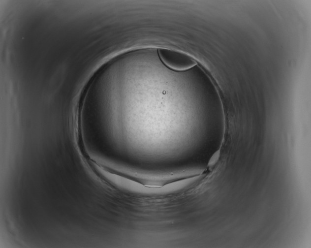 X0000088091515200705251418