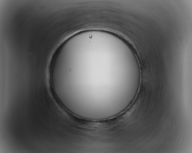 X0000088091517200705251418