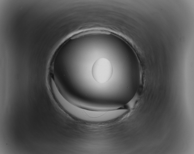 X0000088091518200705251418