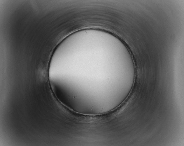 X0000088091521200705251418