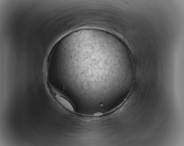 X0000088091522200705251418