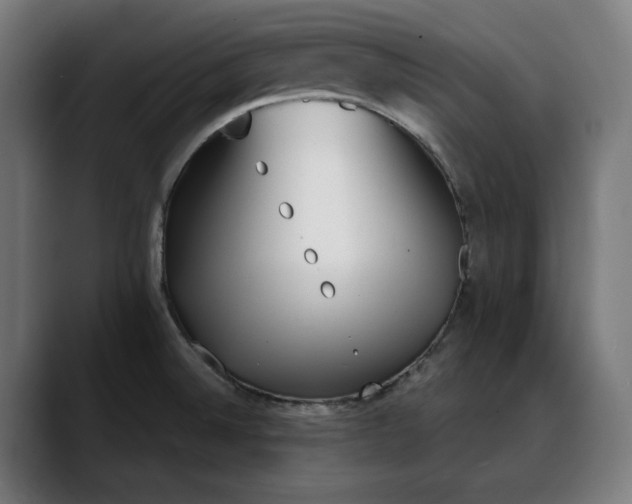 X0000088091524200705251418