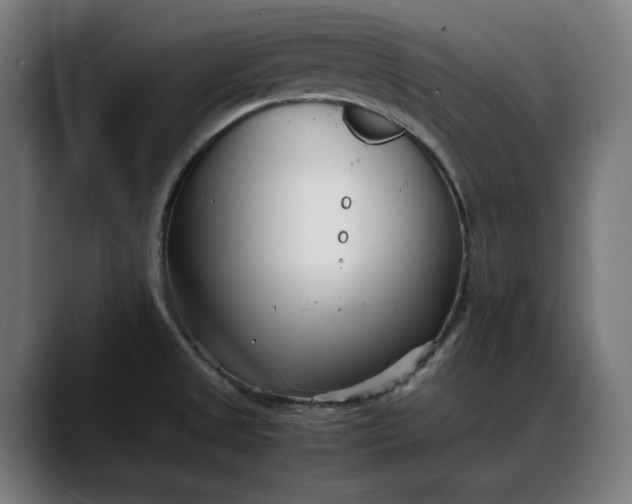 X0000088091525200705251418