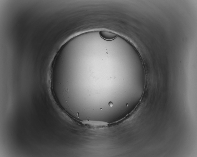 X0000088091526200705251418