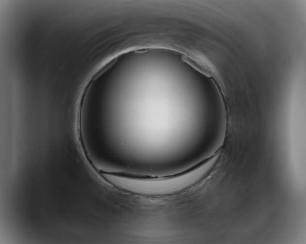 X0000088091528200705251418