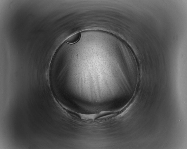 X0000088091529200705251418