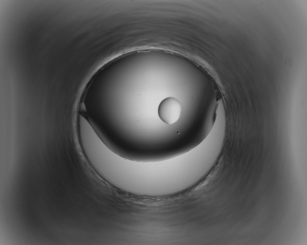 X0000088091530200705251418