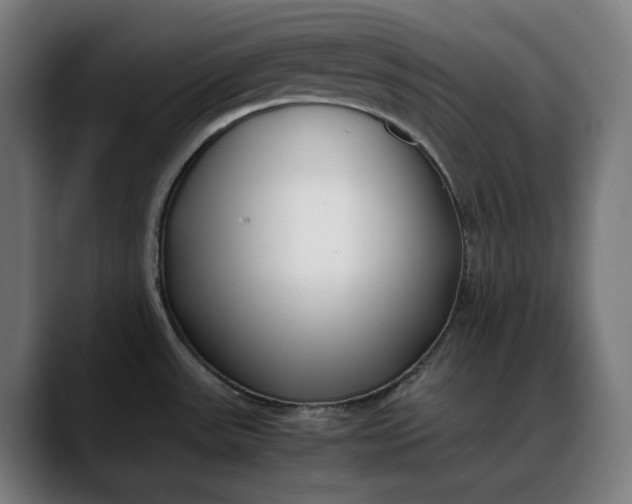 X0000088091531200705251418