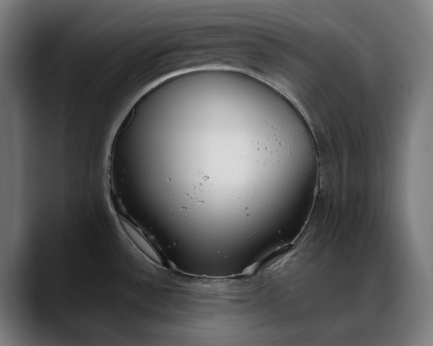 X0000088091532200705251418