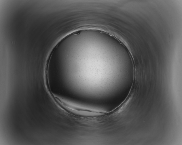 X0000088091533200705251418