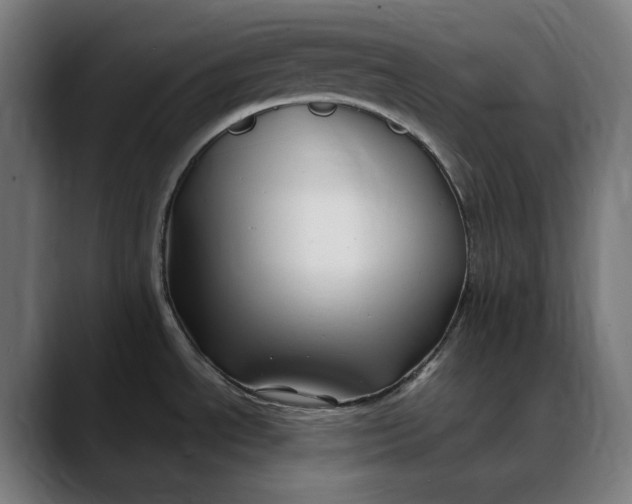 X0000088091534200705251418