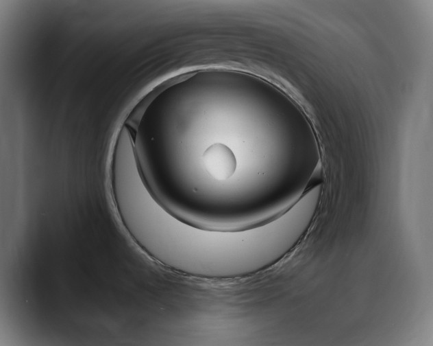 X0000088091536200705251418