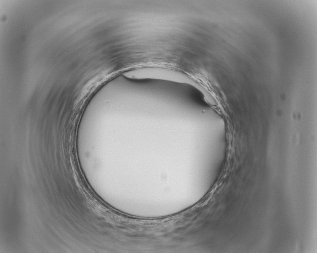 X0000088090001200706011615