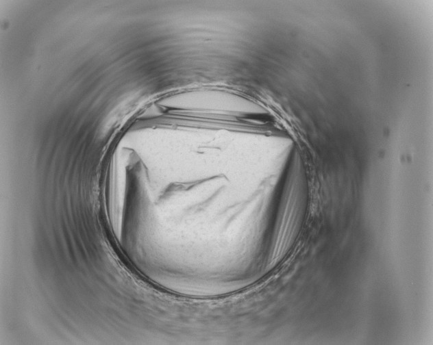 X0000088090002200706011615