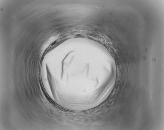 X0000088090003200706011615