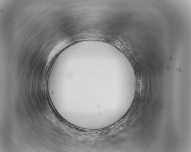 X0000088090004200706011615