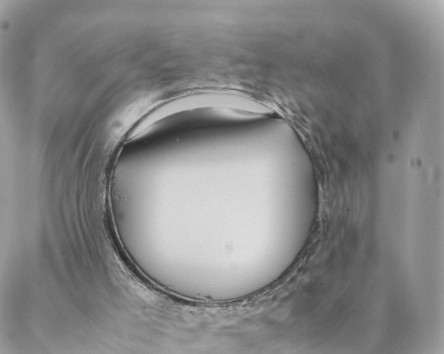 X0000088090005200706011615