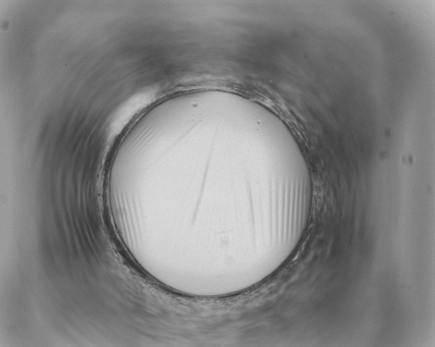 X0000088090006200706011615