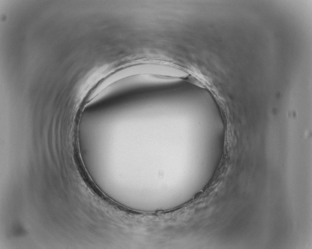 X0000088090007200706011615