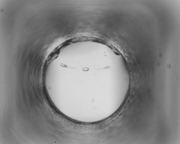 X0000088090008200706011615