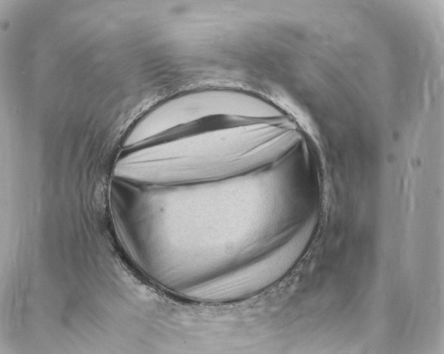 X0000088090009200706011615