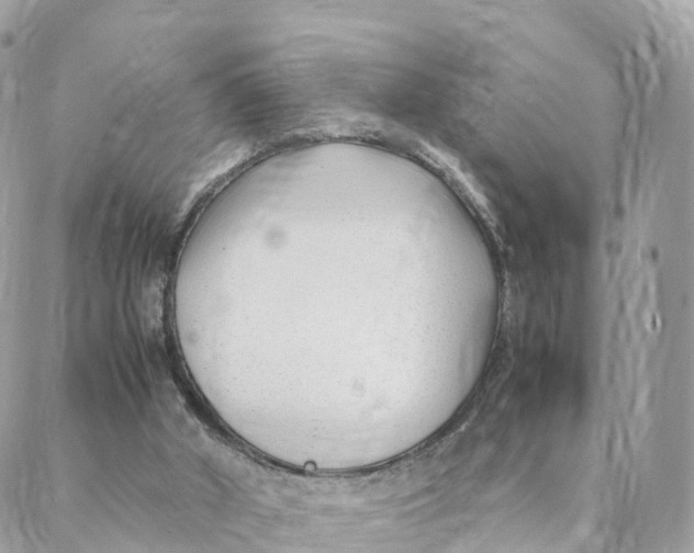 X0000088090010200706011615