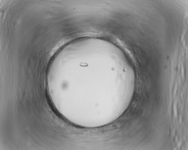 X0000088090011200706011615