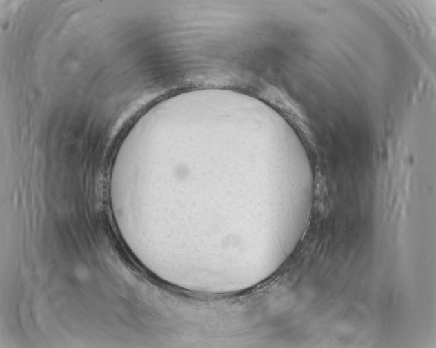 X0000088090012200706011615